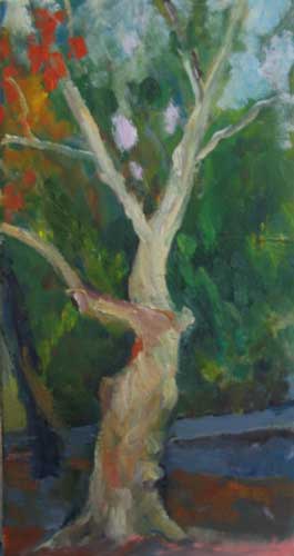 Bare Tree